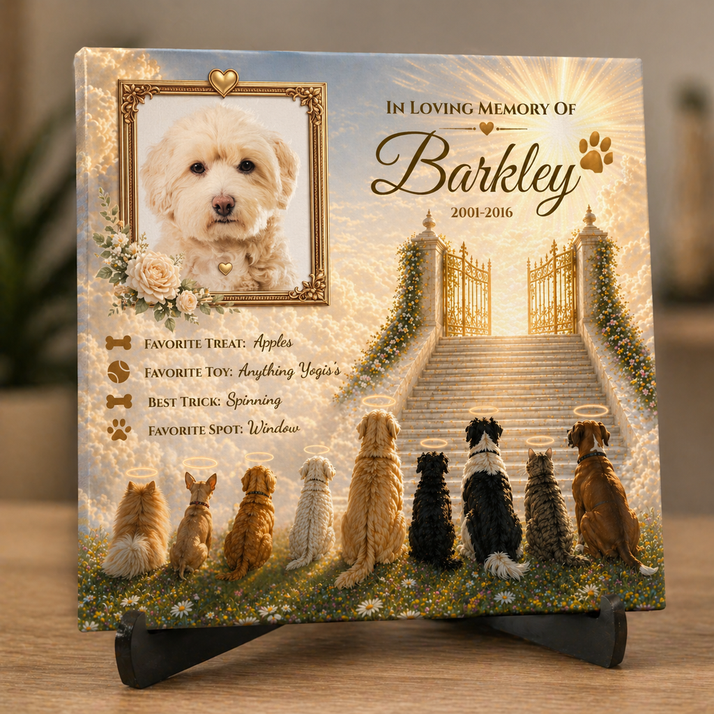 Photo of dogs and cats waiting at Heavens Gate with text about petsfavorite items.